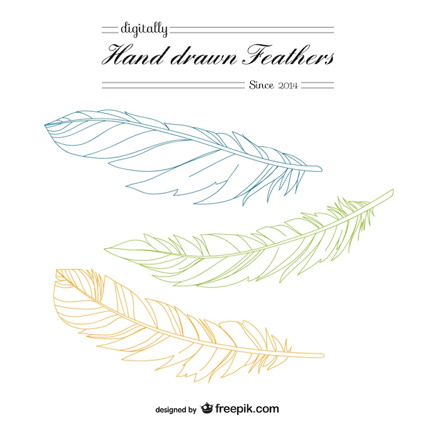 Free Vector | Hand drawn feathers
