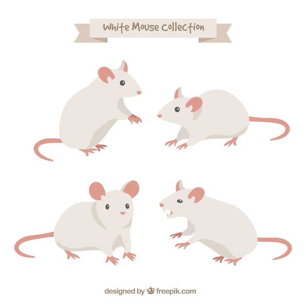 Free Vector | Hand drawn mice collection