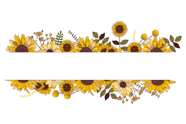 Free Vector | Hand drawn sunflower border