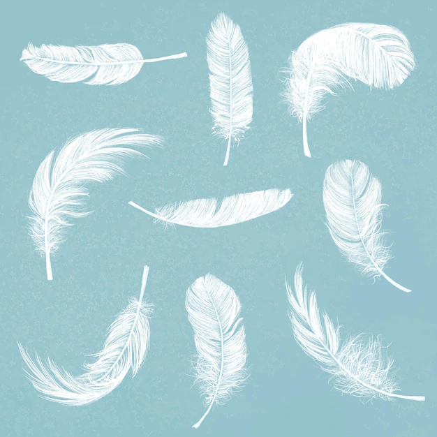 Free Vector | Hand drawn white feather vector element graphic set