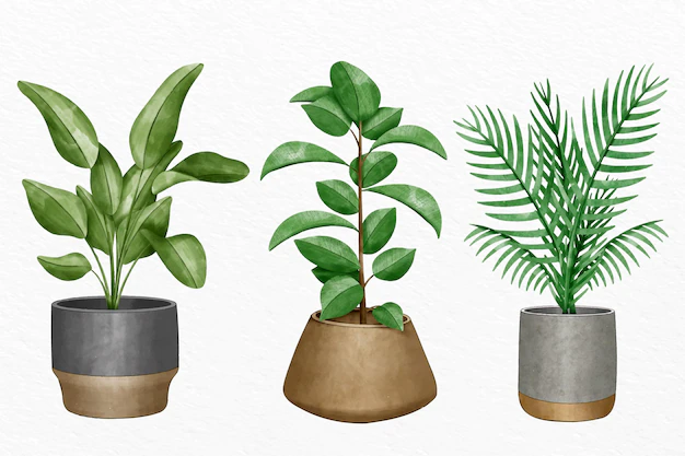 Free Vector | Hand painted watercolor houseplant collection
