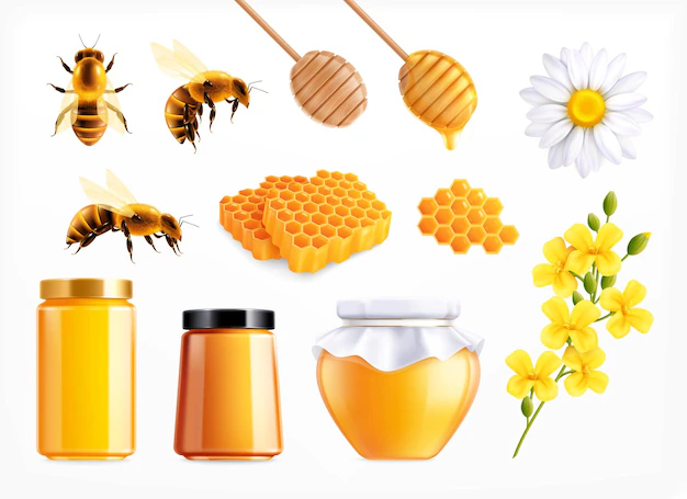 Free Vector | Honey realistic set with isolated icons of spoons comb and flowers with bees and full jars vector illustration