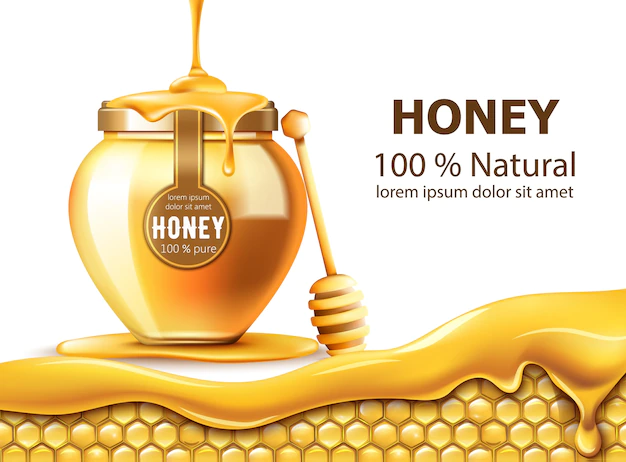 Free Vector | Honeycombs and a jar with honey