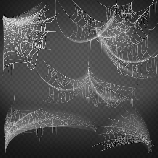 Free Vector | Illustration of spider web of various shapes, white spooky cobweb