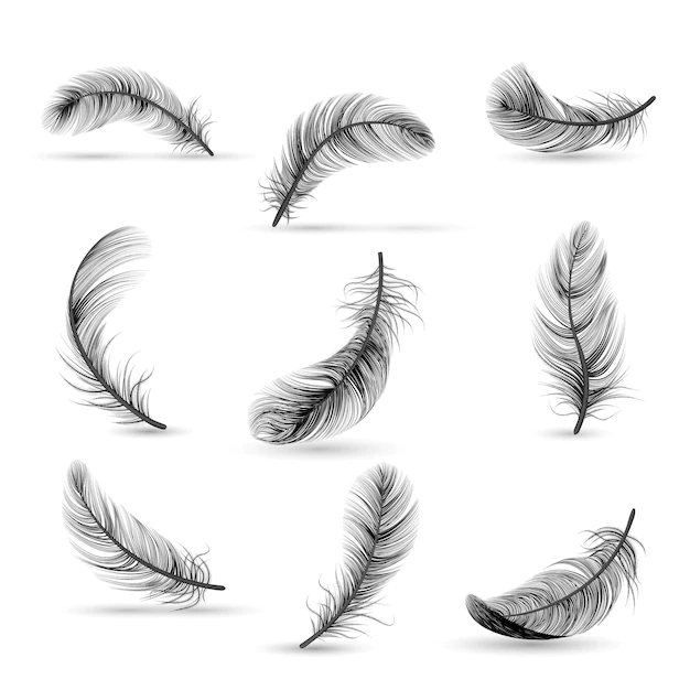 Free Vector | Isolated and realistic feather black icon set feather slowly falling down