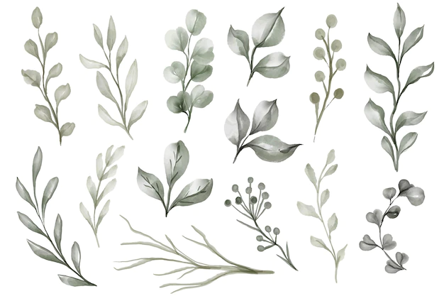 Free Vector | Isolated leaves green watercolor illustration clipart