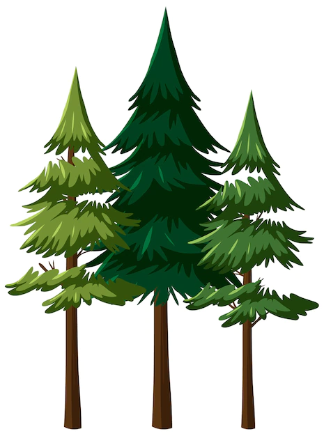 Free Vector | Isolated tree on white