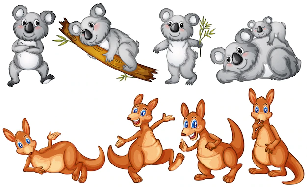 Free Vector | Koalas and kangaroos on white