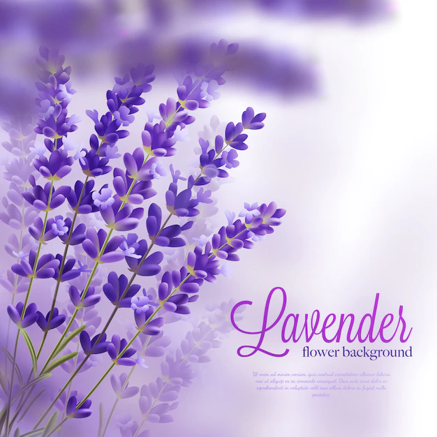 Free Vector | Lavender branches realistic background