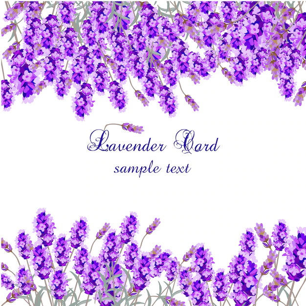 Free Vector | Lavender card template