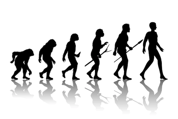 Free Vector | Man evolution. silhouette progress growth development.