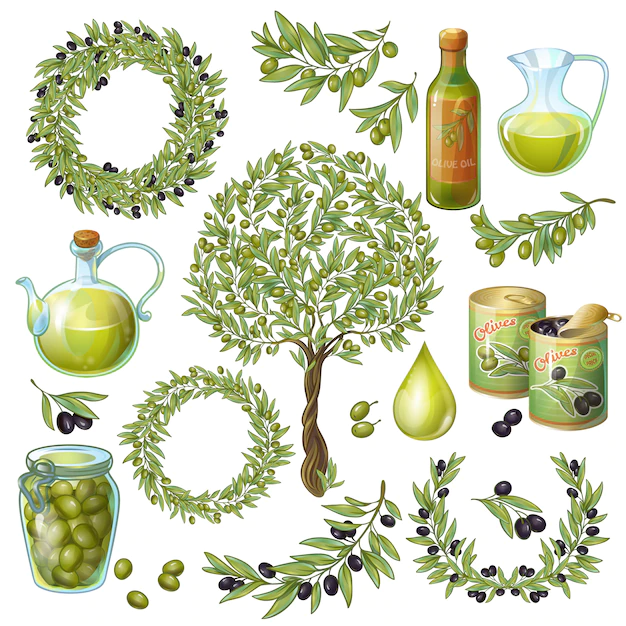 Free Vector | Olive organic elements set