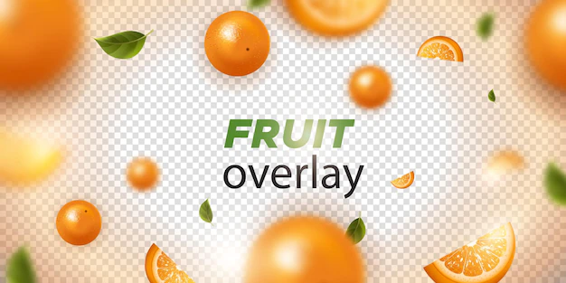 Free Vector | Orange fruit on a transparent background