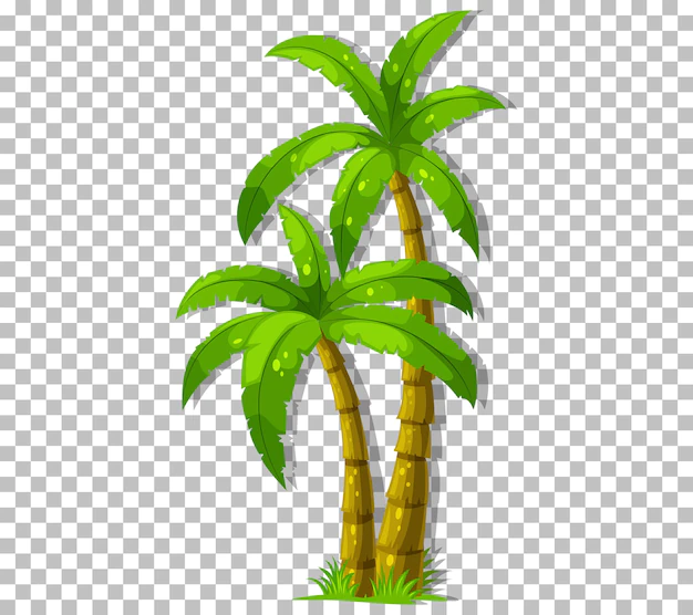 Free Vector | Palm tree on transparent background