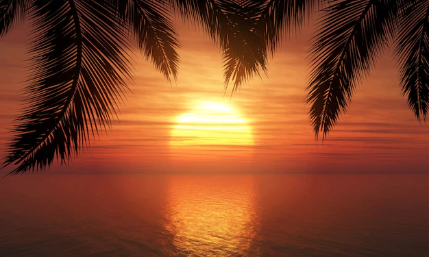 Free Vector | Palm trees against sunset sky