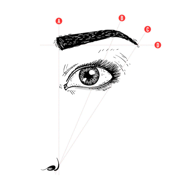 Free Vector | Realistic hand-drawn brow mapping