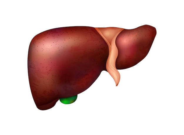 Free Vector | Realistic human internal organs anatomy composition with isolated image of liver vector illustration