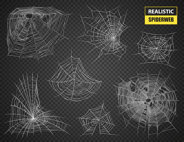 Free Vector | Realistic spiderweb isolated set