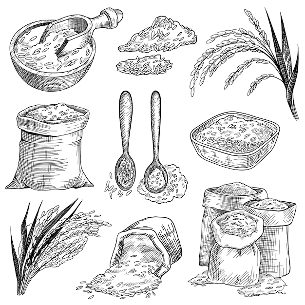 Free Vector | Rice grain in sacks and bowls sketch set