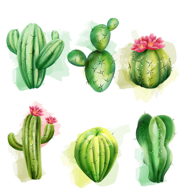 Free Vector | Set of cactuses. exotic plants collection. cactus with flower