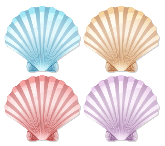 Free Vector | Set of color scallop shell