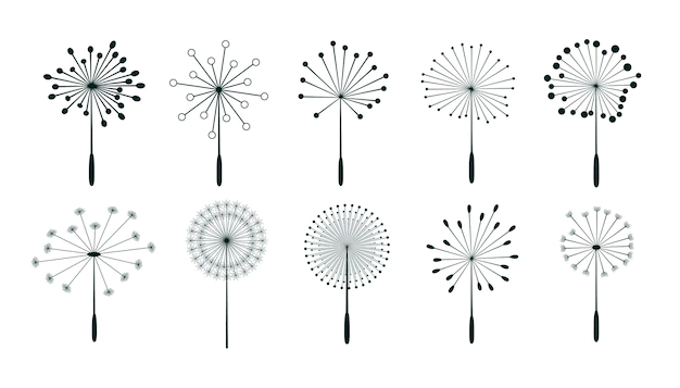 Free Vector | Set of dandelion flower seeds design
