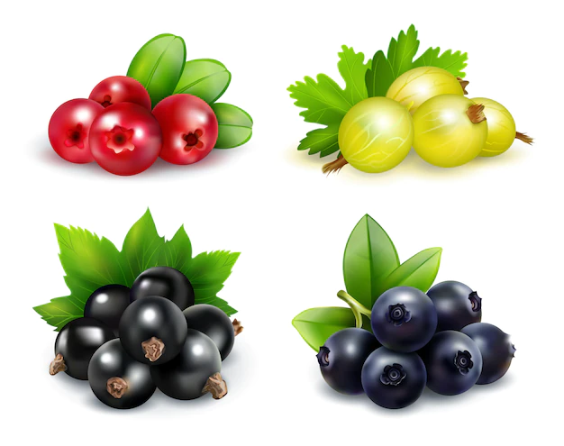 Free Vector | Set of isolated berry clusters in realistic style