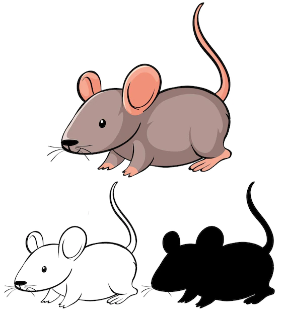 Free Vector | Set of rat cartoon