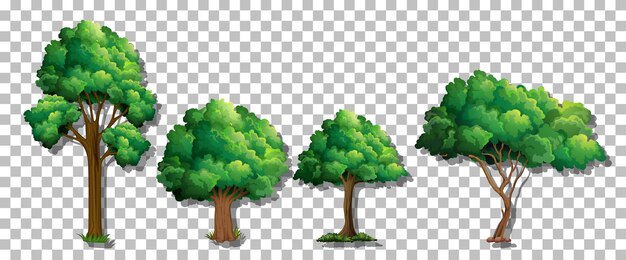 Free Vector | Set of various trees on transparent background