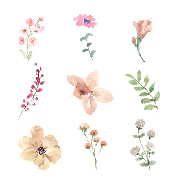 Free Vector | Set of watercolor flower bud, hand-drawn illustration