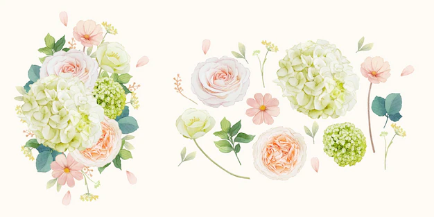 Free Vector | Set watercolor elements of peach roses and hydrangea flower