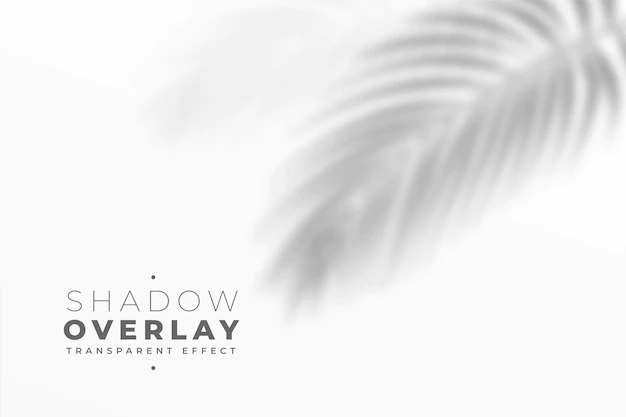 Free Vector | Shadow overlay effect of leaves in white wall
