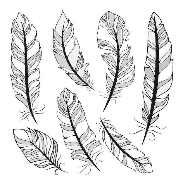 Free Vector | Silhouettes feathers  vector illustration