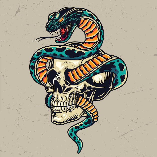 Free Vector | Snake entwined with skull colorful concept