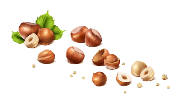 Free Vector | Stages of hazelnut from shelled nut to nut without shell cut in halves and scrumps isolated on white