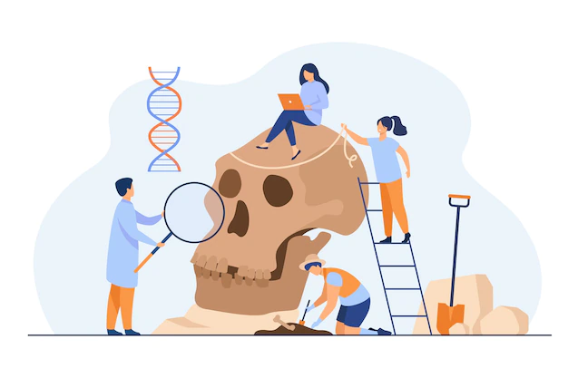 Free Vector | Tiny anthropologists studying neanderthal skull flat illustration.
