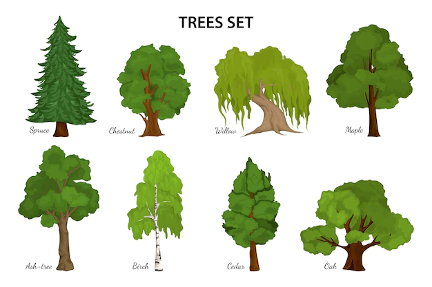 Free Vector | Tree species diagram composition
