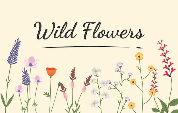 Free Vector | Variety of wild flowers illustration