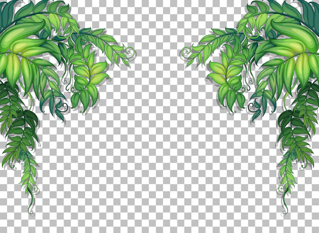 Free Vector | Various tropical leaves on transparent background