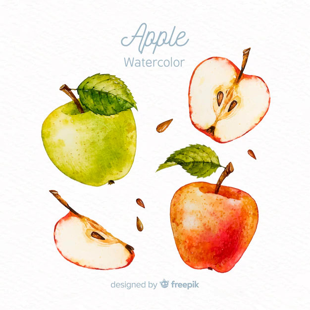 Free Vector | Watercolor apple set