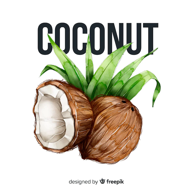 Free Vector | Watercolor coconut