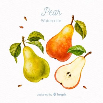 Free Vector | Watercolor fruits background