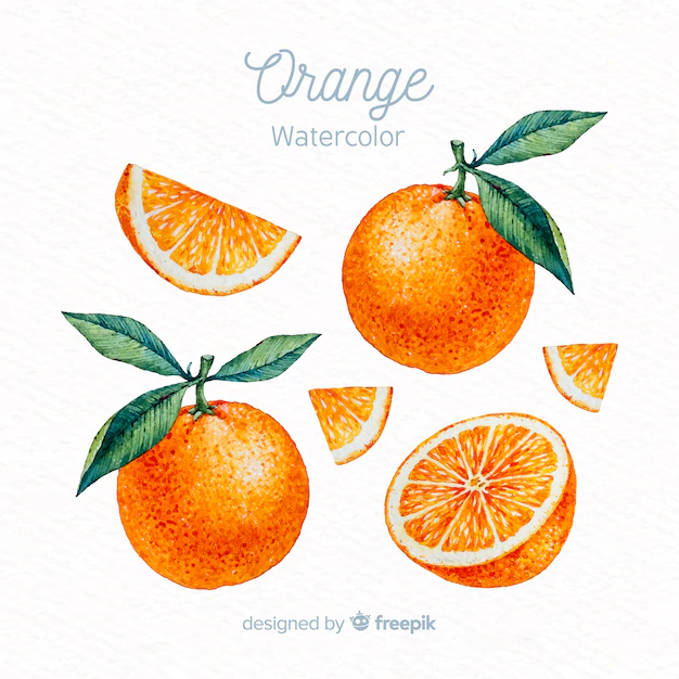 Free Vector | Watercolor orange set