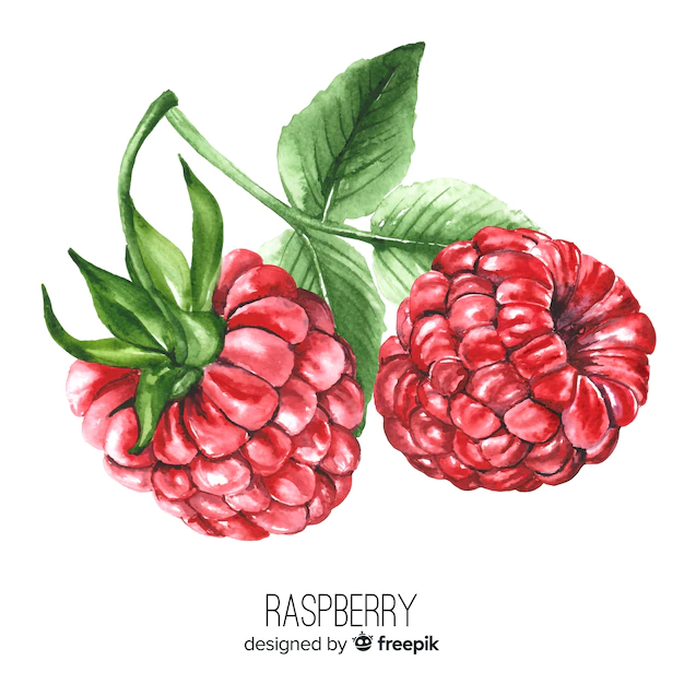 Free Vector | Watercolor realistic raspberry background