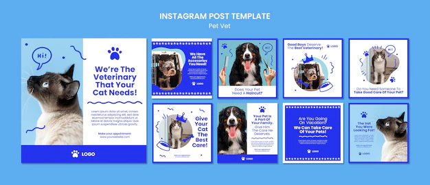 Free PSD | Veterinary clinic instagram posts collection