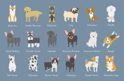 Free Vector | Illustration of dogs collection