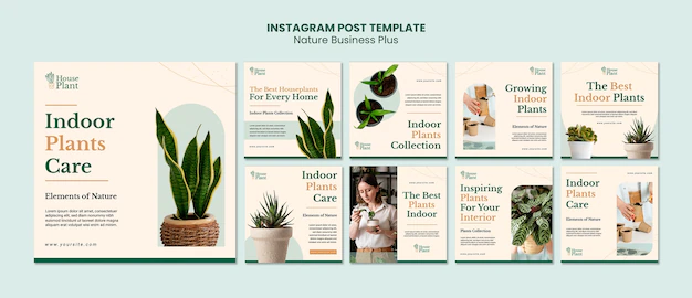 Free PSD | Instagram posts collection for indoor potted plants
