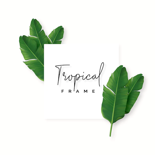 Free PSD | Lovely natural frame with tropical leaves