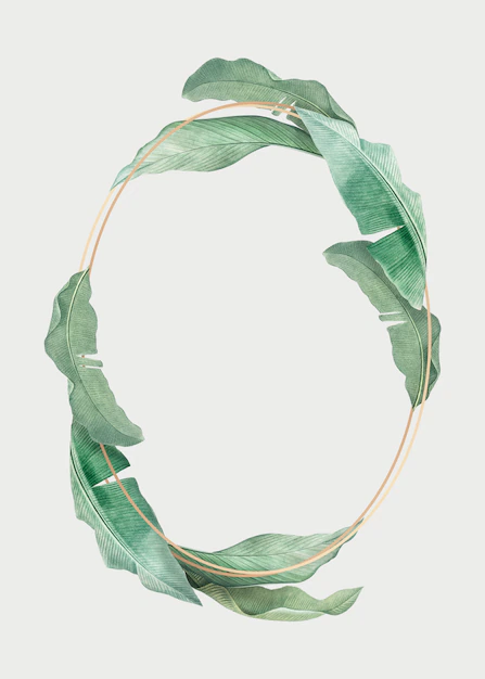 Free PSD | Tropical leaves frame