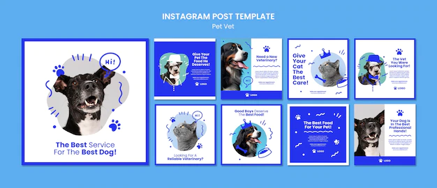 Free PSD | Veterinary clinic instagram posts collection